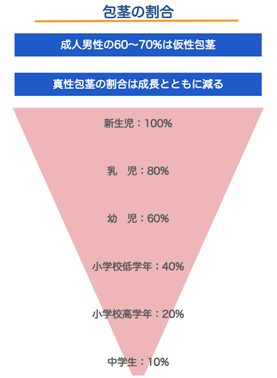 包茎の割合